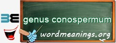 WordMeaning blackboard for genus conospermum